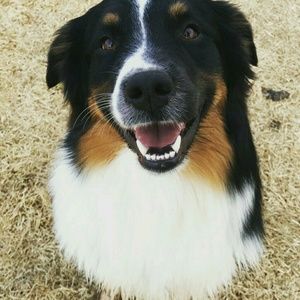 Meet your Posher, Caroline